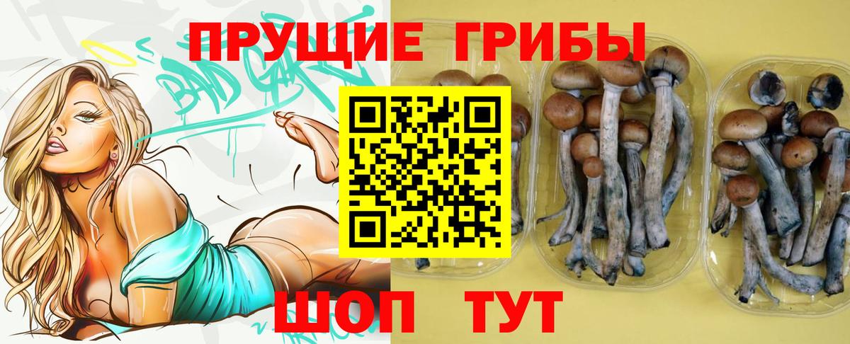 Лабытнанги  Псилоцибиновые грибы ЛСД  Вход с VPN  Галлюциногенные грибы мухоморы 